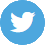 twitter Social Icon